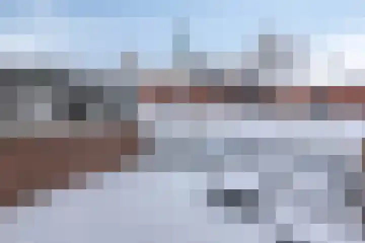 Achtererf 75 Tholen thumbnail 36