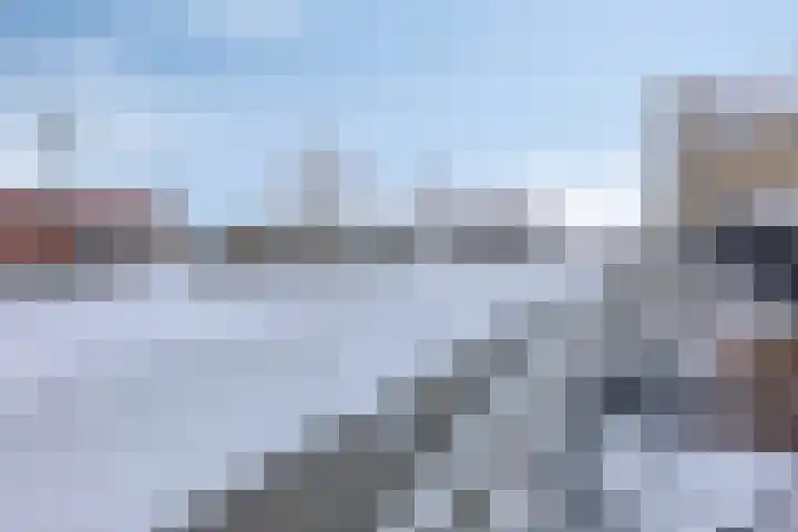 Achtererf 75 Tholen thumbnail 37