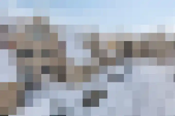 Achtererf 75 Tholen thumbnail 4