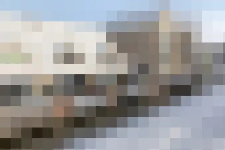 Achtererf 75 Tholen thumbnail 42