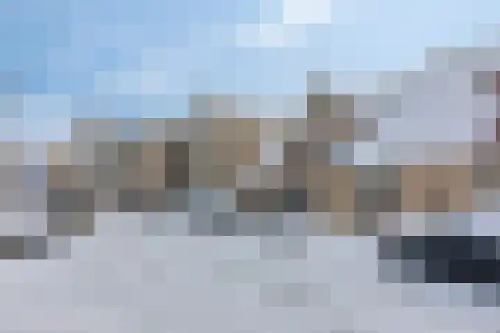 Achtererf 75 Tholen thumbnail 46