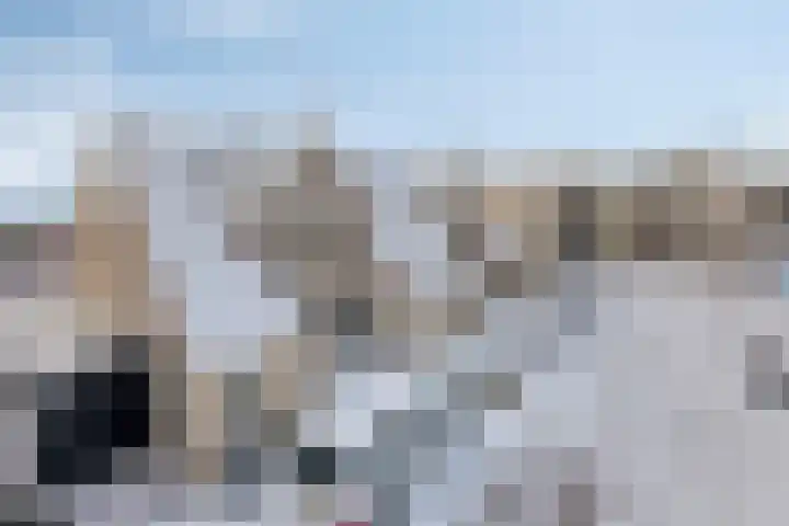 Achtererf 75 Tholen thumbnail 48
