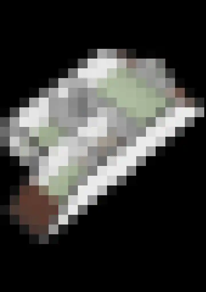 Achtererf 75 Tholen thumbnail 55