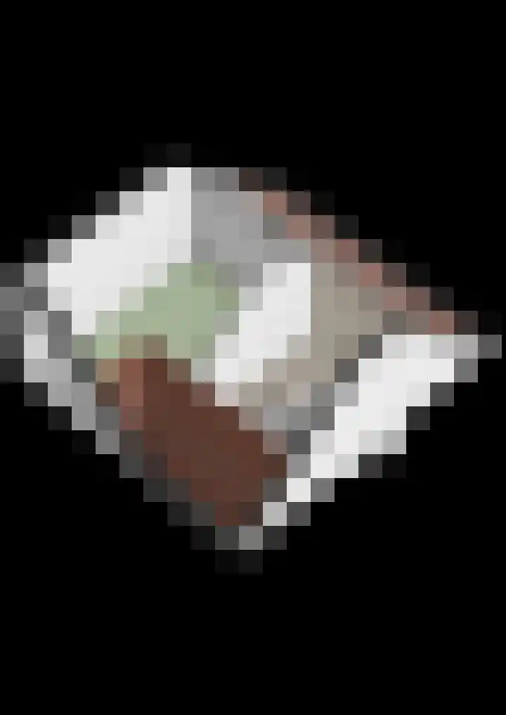 Achtererf 75 Tholen thumbnail 57