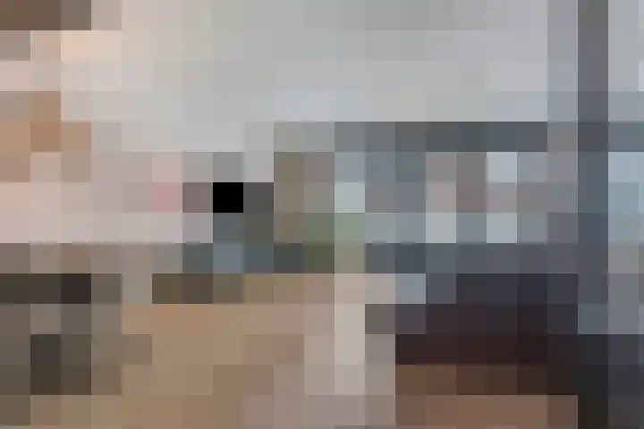 Achtererf 75 Tholen thumbnail 7