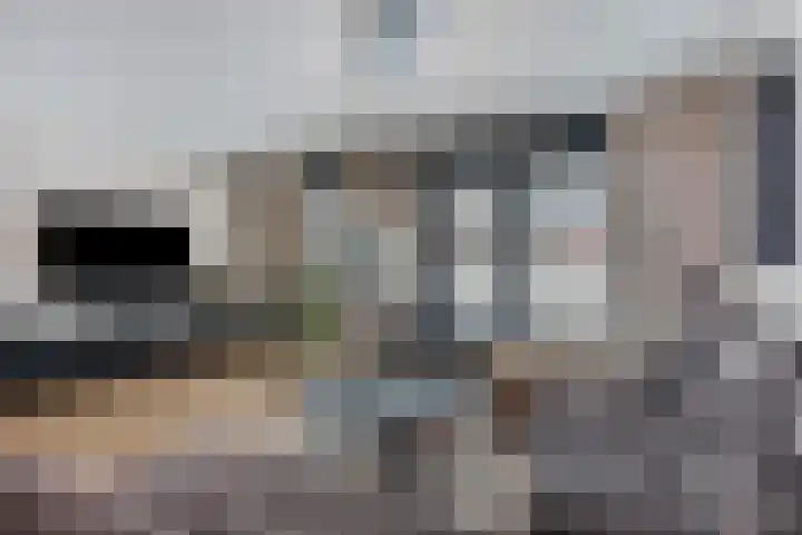 Achtererf 75 Tholen thumbnail 8