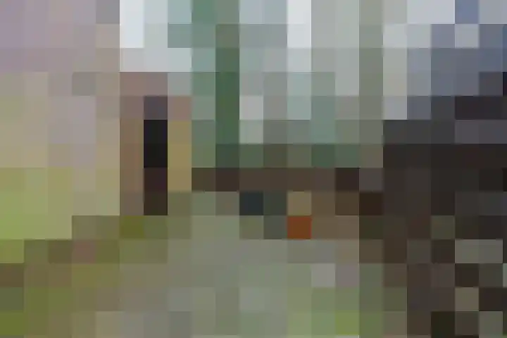 Achtergracht 118 Weesp thumbnail 24