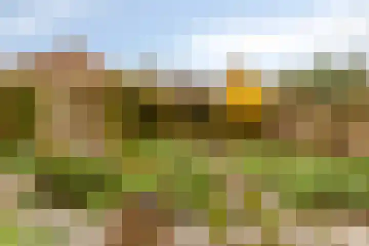 Achterhaven 11 Edam thumbnail 48
