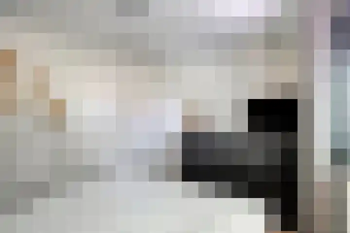 Achterhaven 37 Edam thumbnail 14