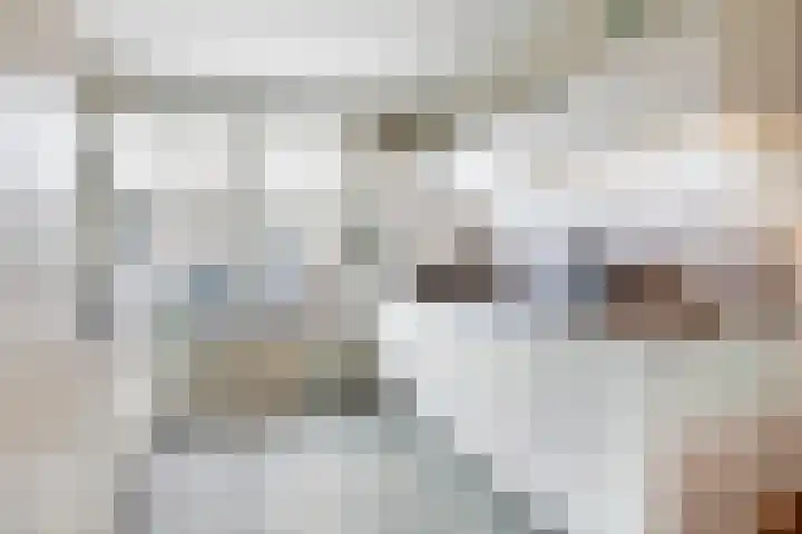 Achterhaven 65 d Edam thumbnail 14