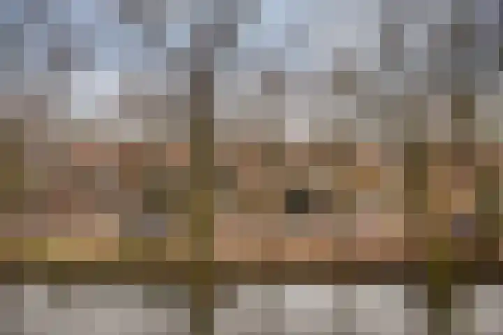 Achterhaven 65 d Edam thumbnail 33
