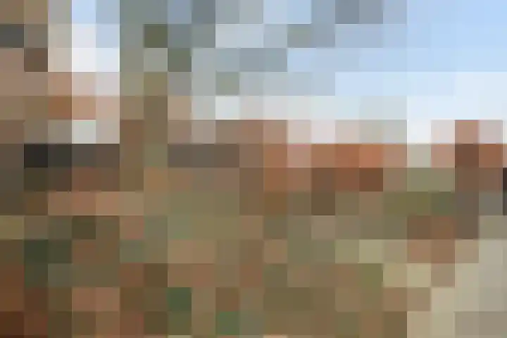 Achterhaven 65 d Edam thumbnail 45