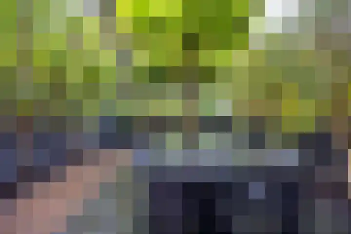 Achterhaven 65 e Edam thumbnail 12