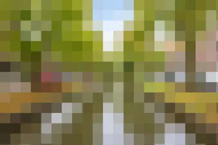 Achterhaven 65 e Edam thumbnail 14