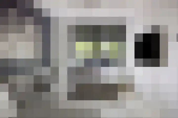 Achterhaven 65 e Edam foto 3