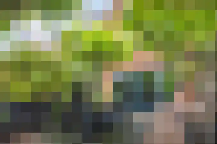 Achterhaven 65 e Edam thumbnail 33
