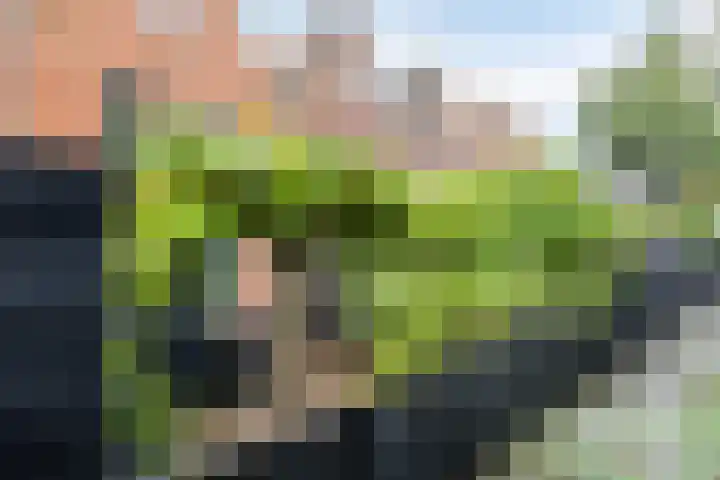 Achterhaven 65 e Edam thumbnail 34