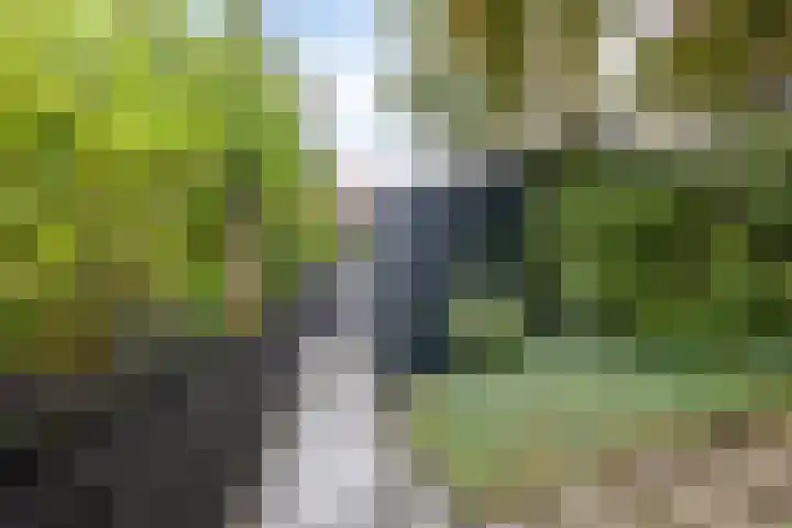 Achterhaven 65 e Edam thumbnail 35