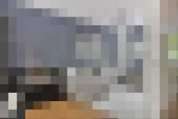 Achterhaven 65 e Edam thumbnail 4