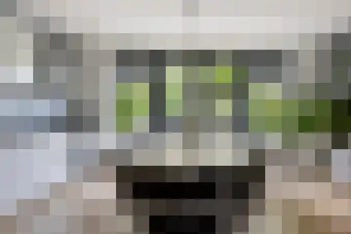 Achterhaven 65 e Edam thumbnail 6