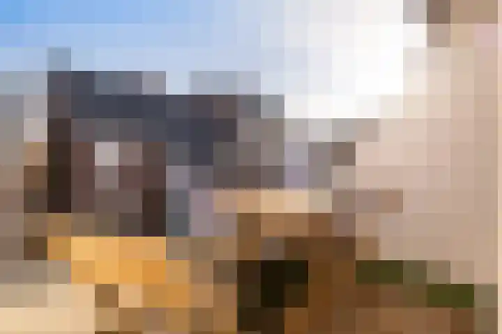 Achterheuvel 97 Zeist thumbnail 6