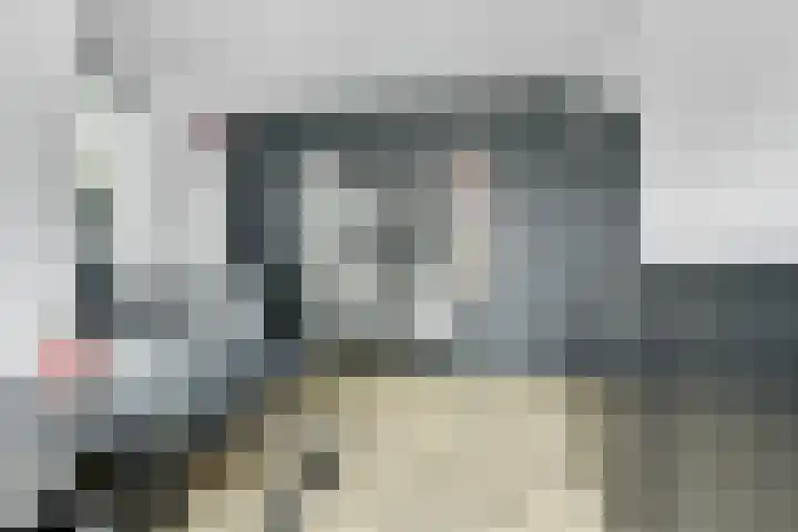 Achterhoeven 3 Dongen thumbnail 10