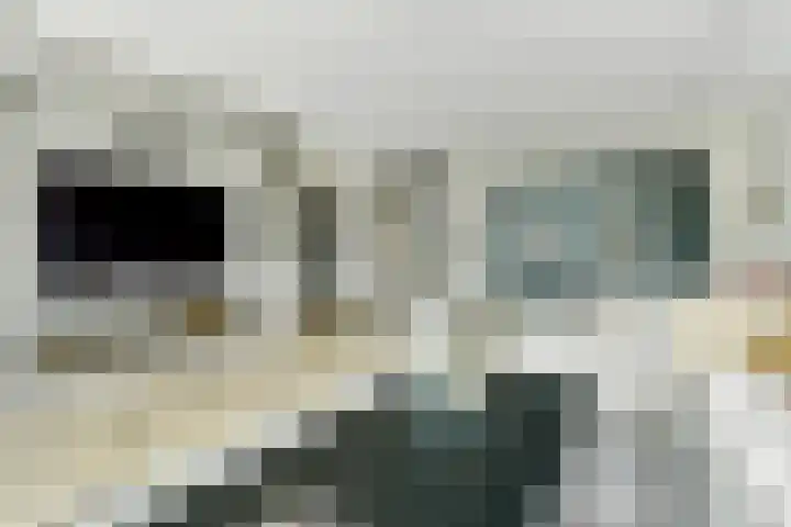 Achterhoeven 3 Dongen thumbnail 11