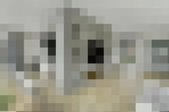 Achterhoeven 3 Dongen thumbnail 12
