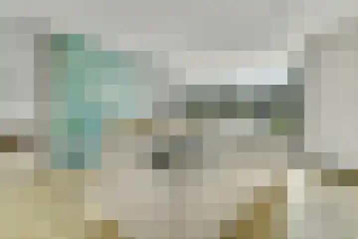 Achterhoeven 3 Dongen thumbnail 14