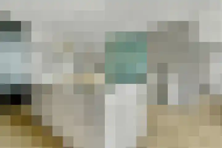 Achterhoeven 3 Dongen thumbnail 15