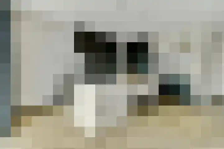 Achterhoeven 3 Dongen thumbnail 16