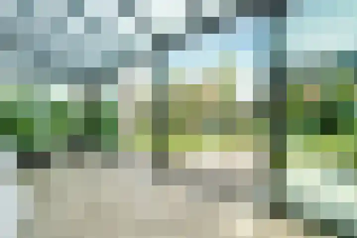 Achterhoeven 3 Dongen thumbnail 19
