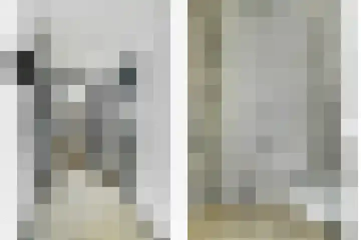 Achterhoeven 3 Dongen thumbnail 23