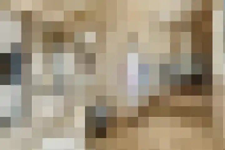 Achterhoeven 3 Dongen thumbnail 24