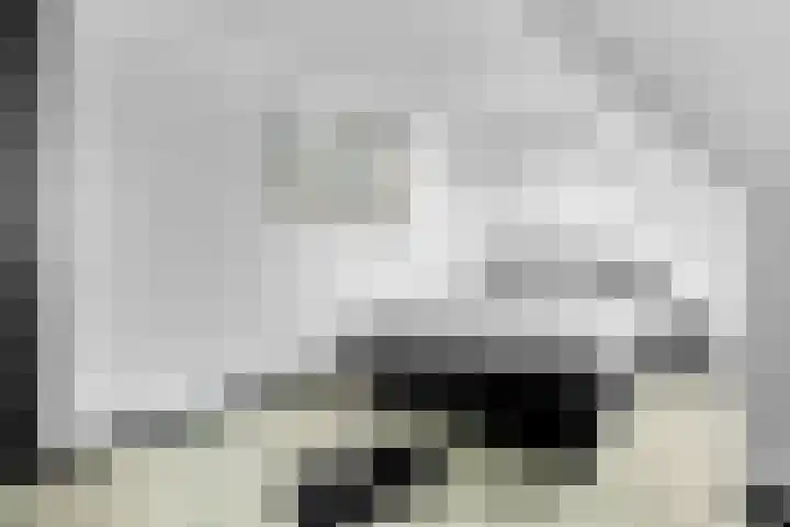 Achterhoeven 3 Dongen thumbnail 26