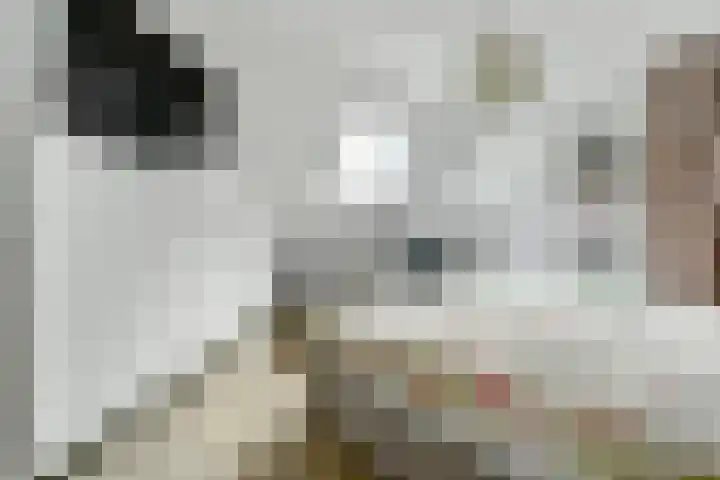 Achterhoeven 3 Dongen thumbnail 31