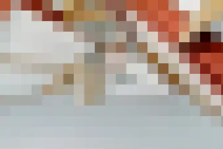 Achterhoeven 3 Dongen thumbnail 39