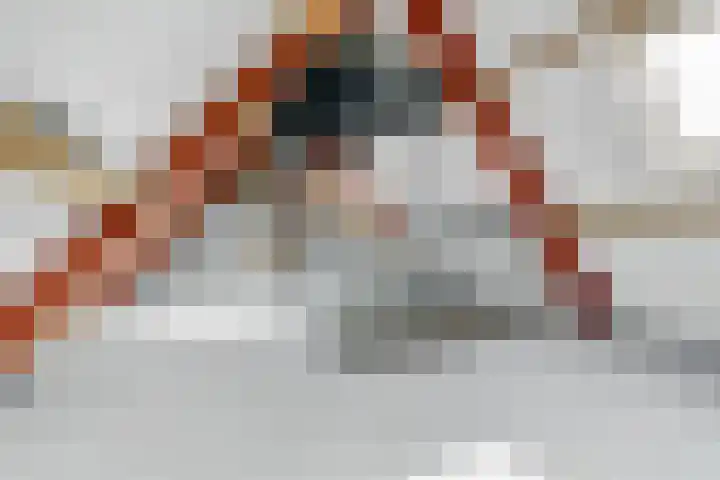 Achterhoeven 3 Dongen thumbnail 40