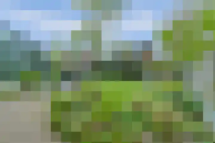 Achterhoeven 3 Dongen thumbnail 42