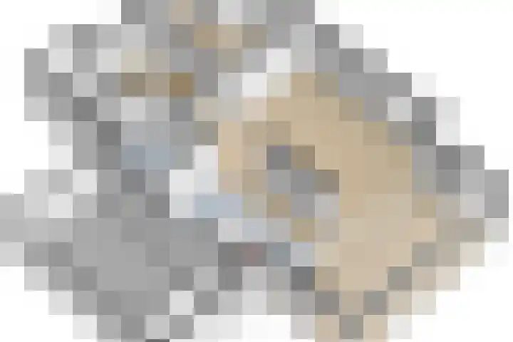 Achterhoeven 3 Dongen thumbnail 49