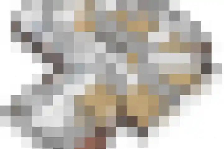 Achterhoeven 3 Dongen thumbnail 50
