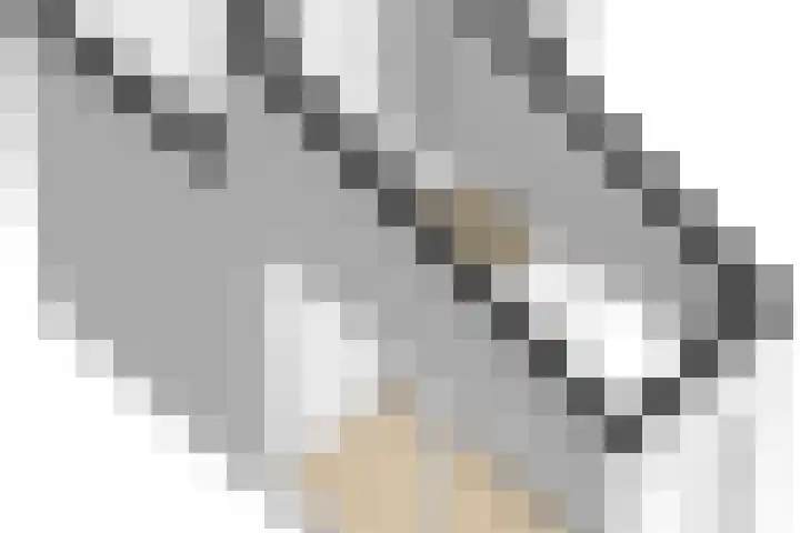 Achterhoeven 3 Dongen thumbnail 52