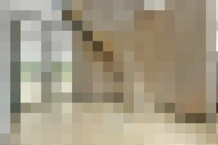 Achterhoeven 3 Dongen thumbnail 6