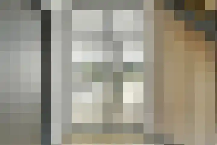 Achterhoeven 3 Dongen thumbnail 7