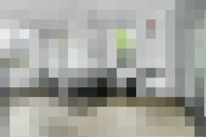 Achterhoeven 3 Dongen thumbnail 9