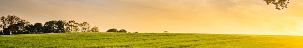 Team foto van Achterhof Makelaardij