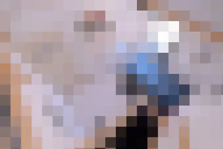 Achterhoven 20 Zutphen thumbnail 37