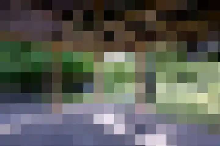 Achterhoven 20 Zutphen thumbnail 4