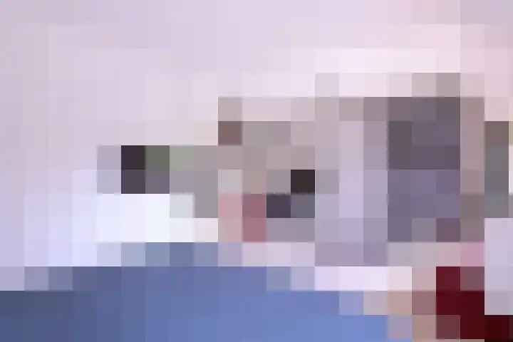 Achterhoven 20 Zutphen thumbnail 43