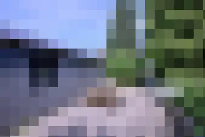 Achterhoven 20 Zutphen thumbnail 51